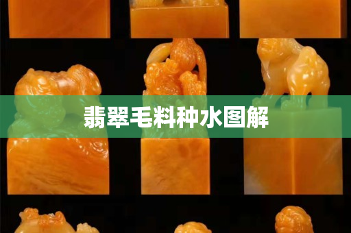 翡翠毛料種水圖解