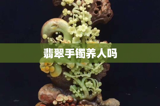 翡翠手鐲養(yǎng)人嗎