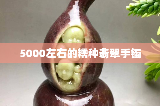 5000左右的糯種翡翠手鐲